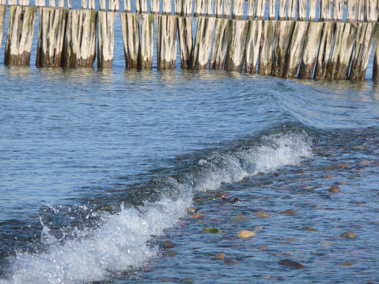 baltic sea sea water free photo