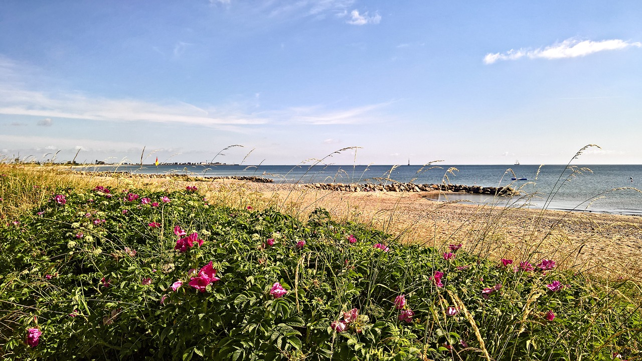 baltic sea  sand beach  blue sea free photo