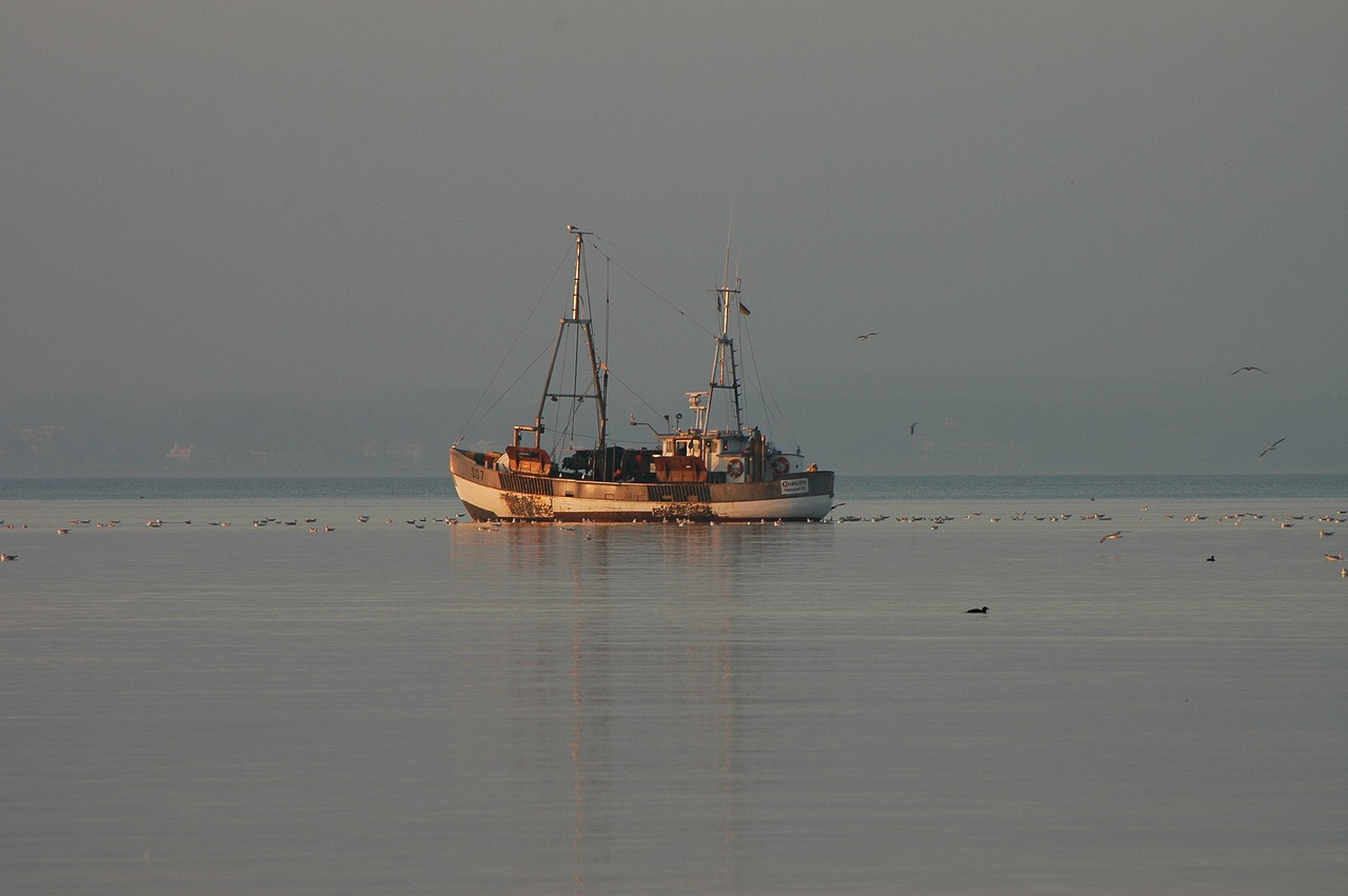 baltic sea  sea  water free photo