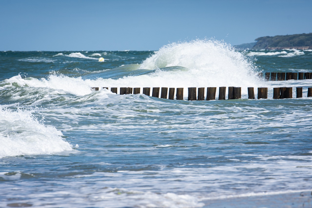 baltic sea  wave  sea free photo