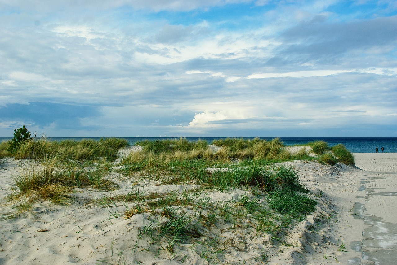 baltic sea coast darß free photo