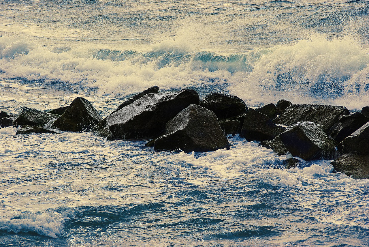 baltic sea beach surf free photo