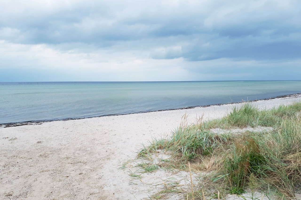 baltic sea  beach  sea free photo