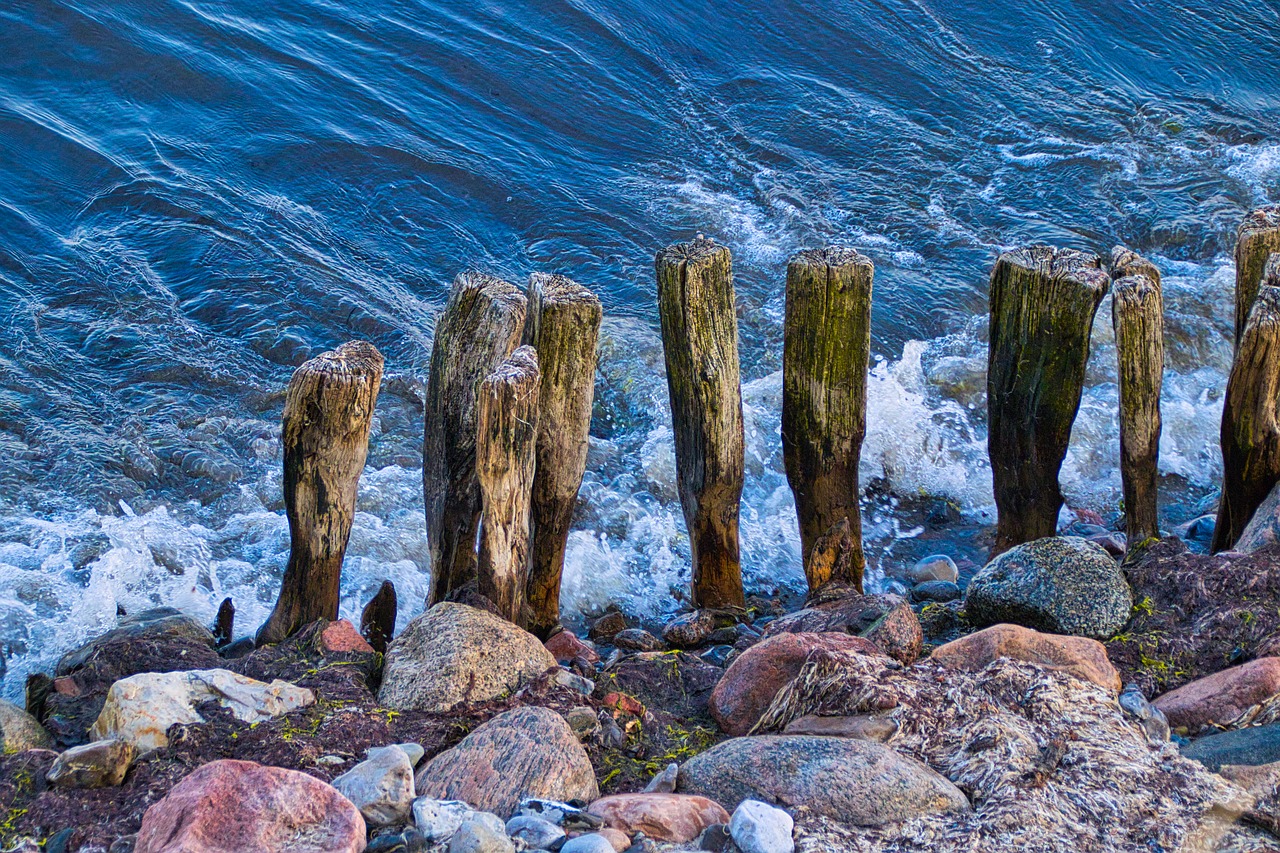 baltic sea  cliff  sea free photo