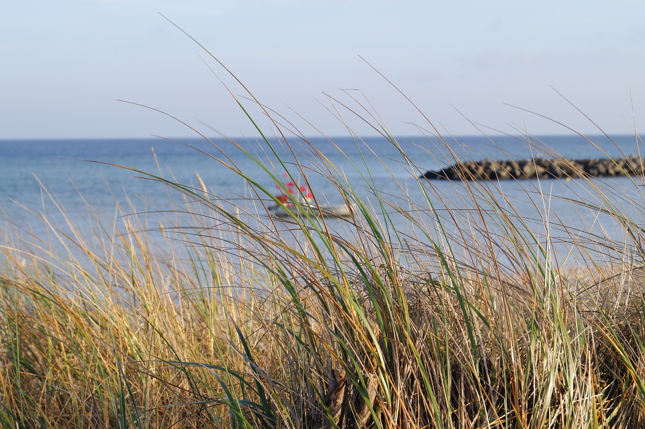 baltic sea water beach free photo