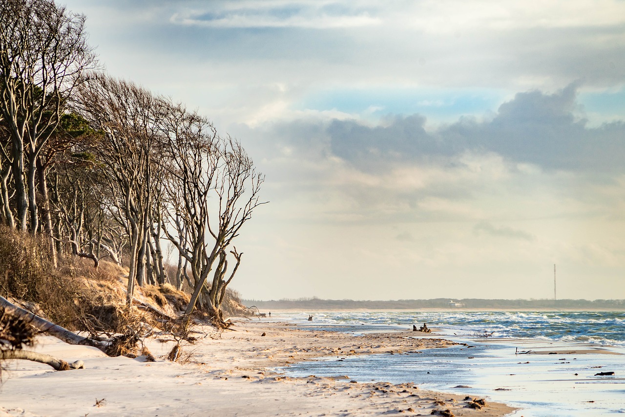 baltic sea  west beach  fischland-darss free photo