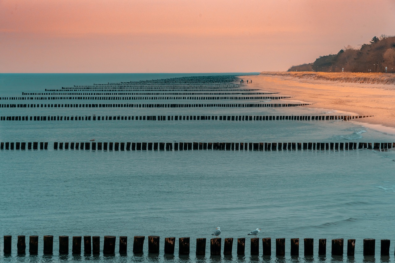 baltic sea  groynes  zingst free photo