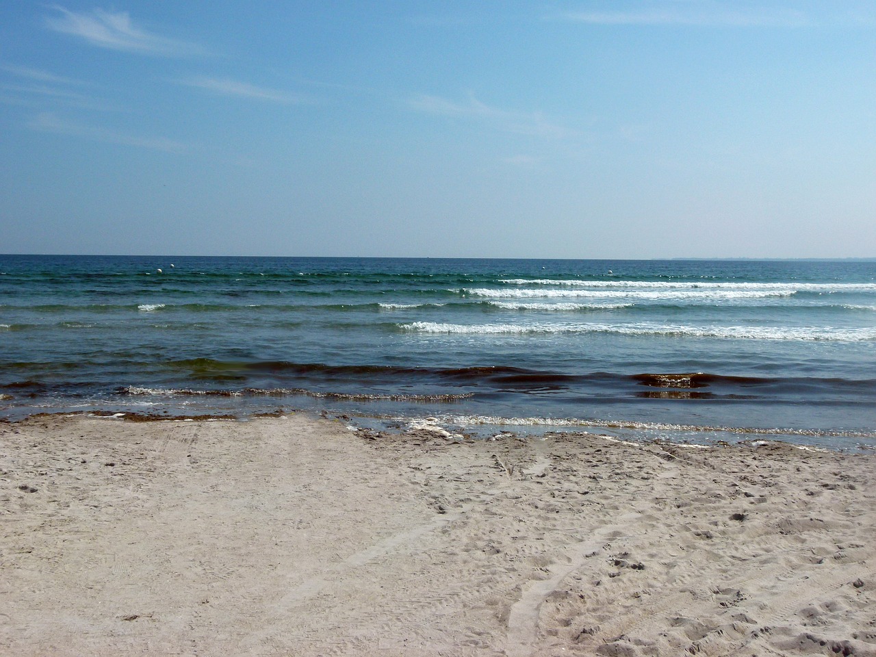 baltic sea sea baltic sea beach free photo