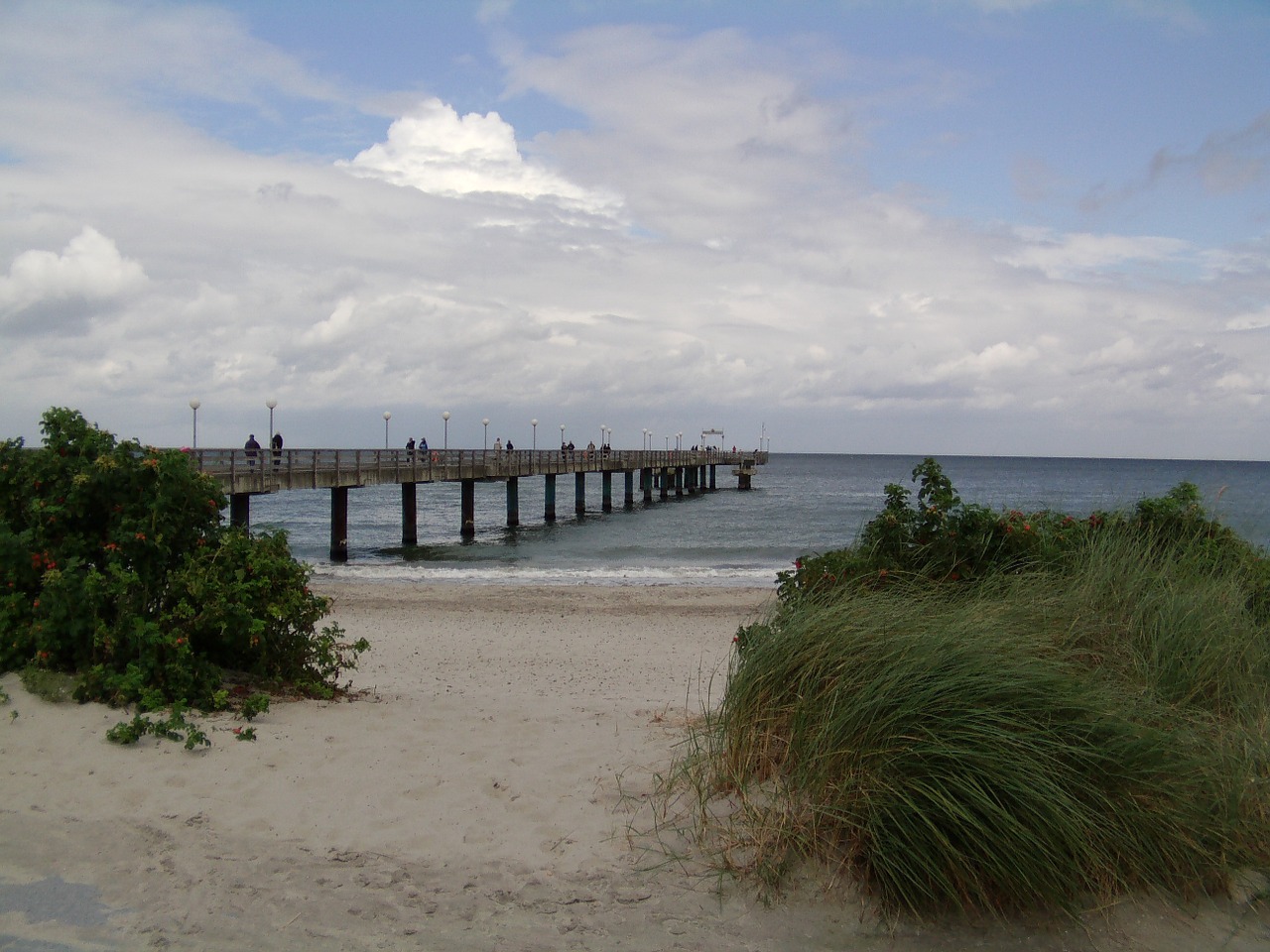 baltic sea coast beach free photo