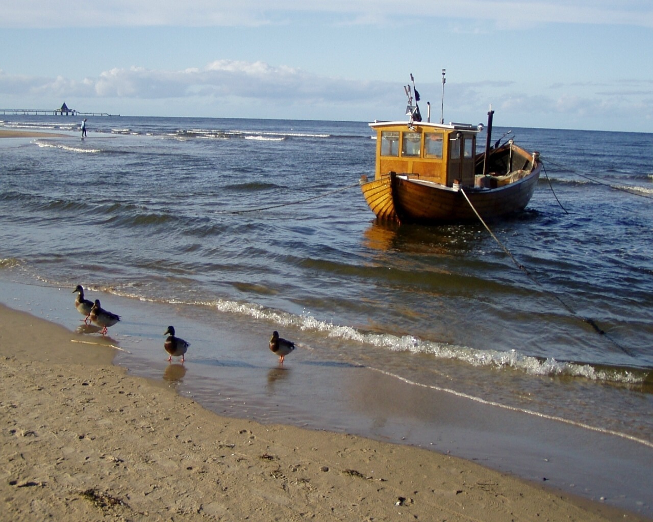 baltic sea sea fishing boat free photo