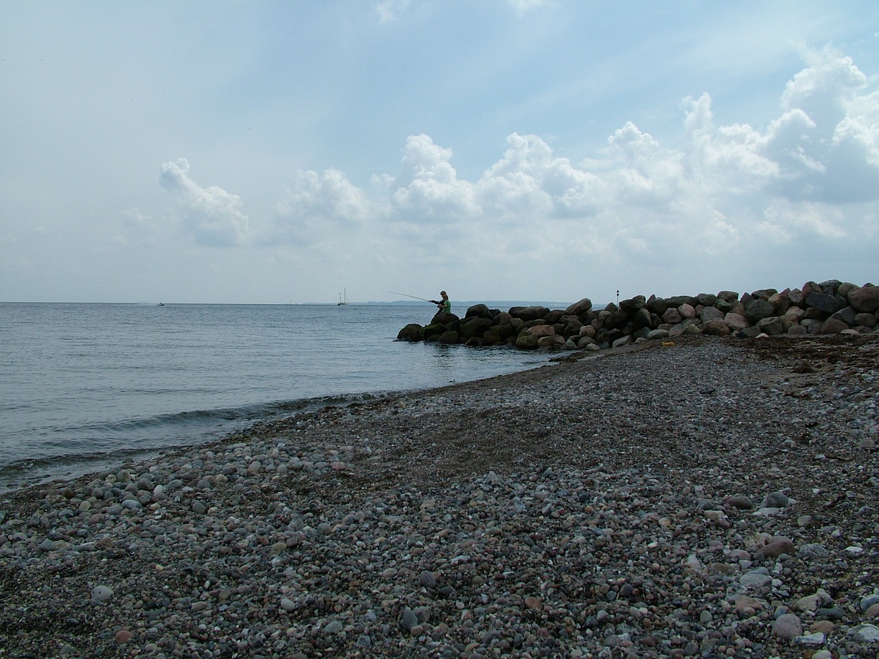 baltic sea sea coast free photo
