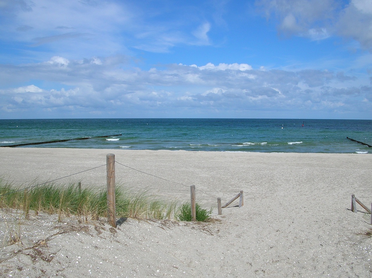 baltic sea beach sea free photo