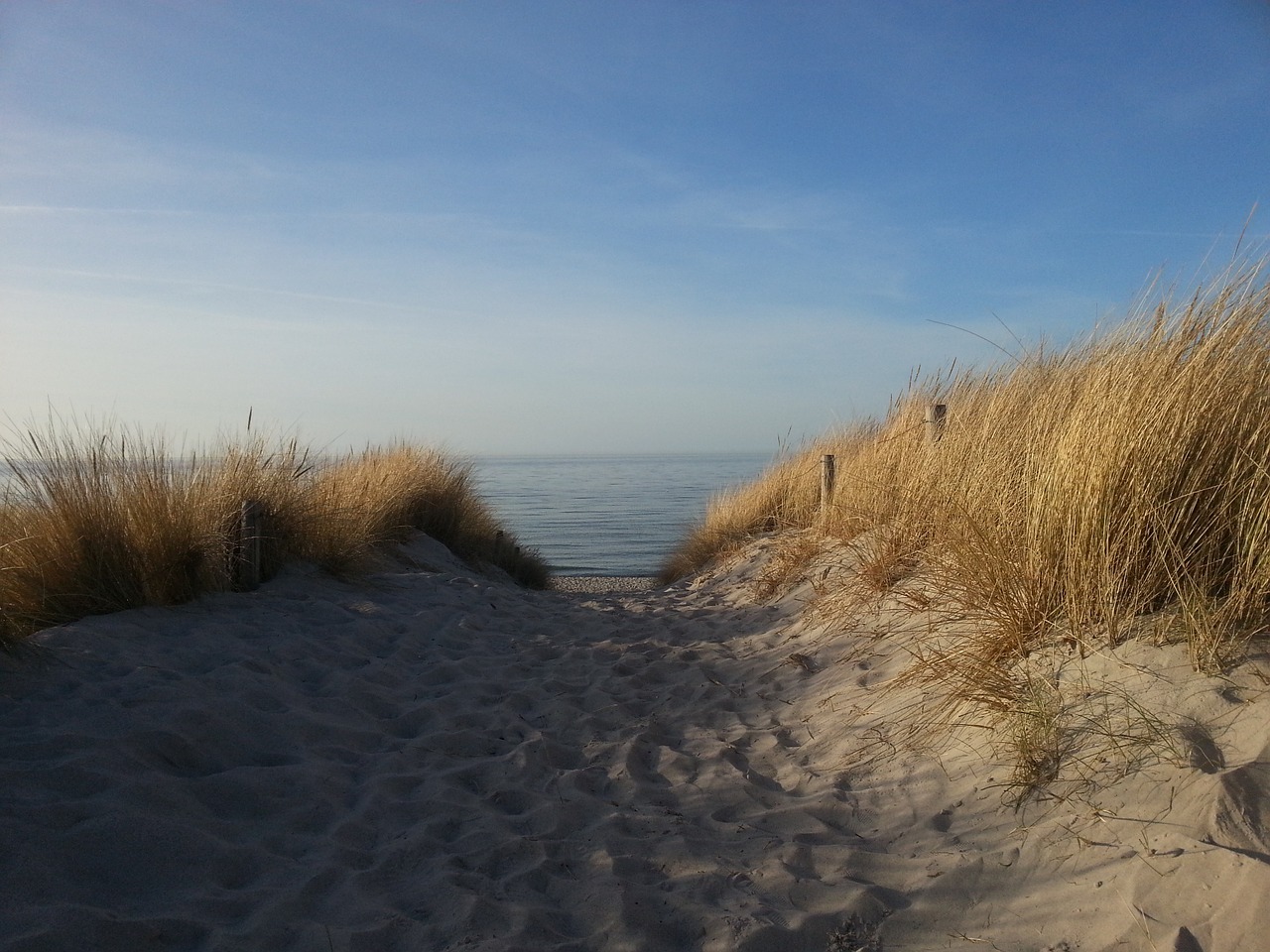 baltic sea dunes beach free photo