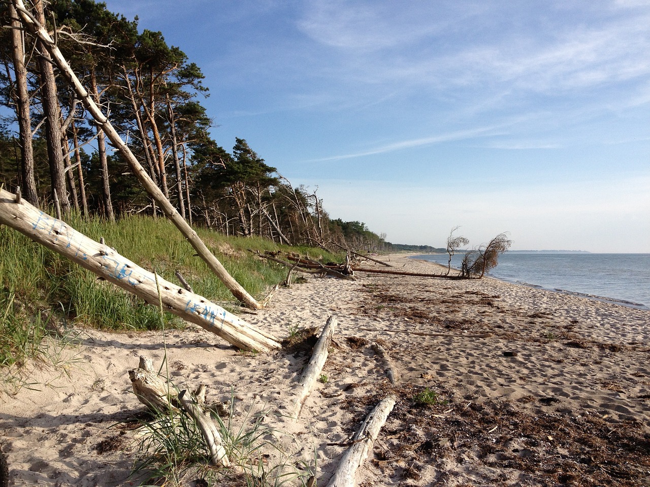 baltic sea lake beach free photo
