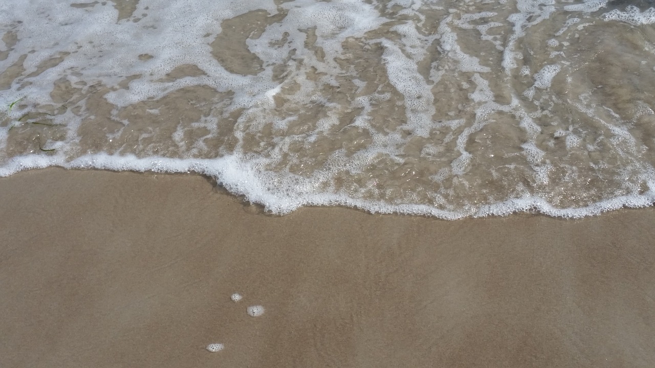 baltic sea beach sand free photo