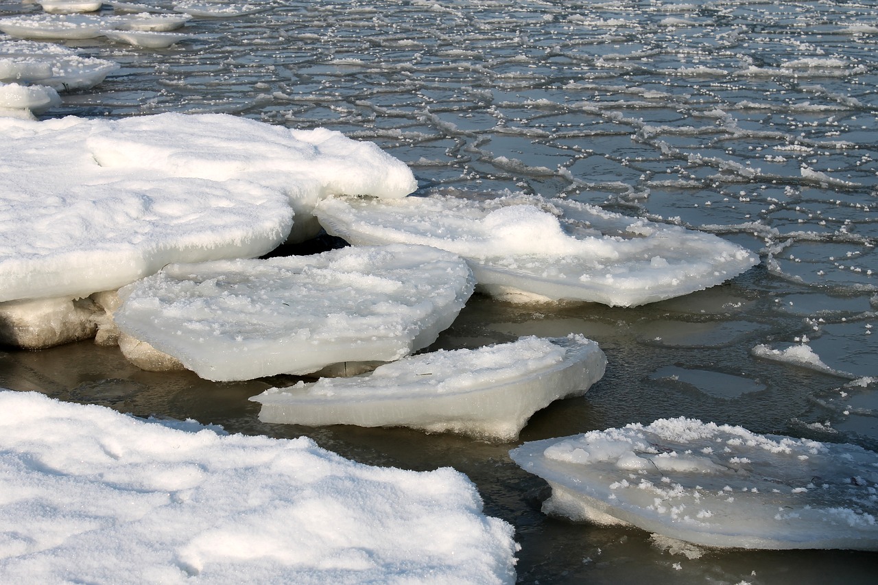 baltic sea in winter  ice floes in the sea  coast free photo