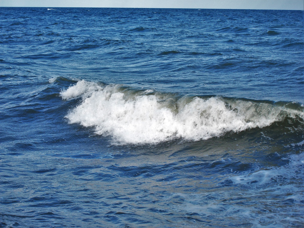 baltic wave head sea free photo