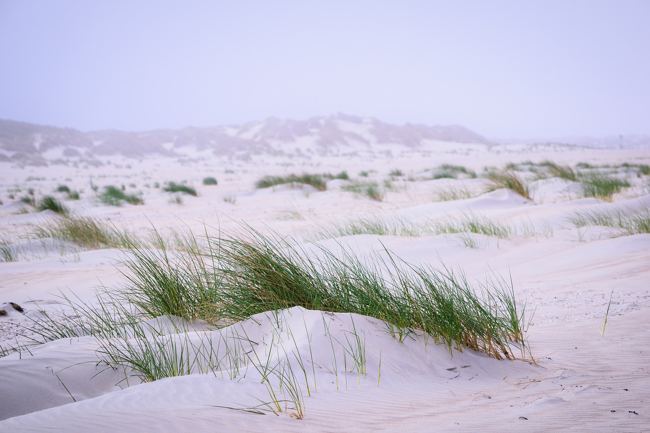 baltrum morgenstimmung north sea free photo