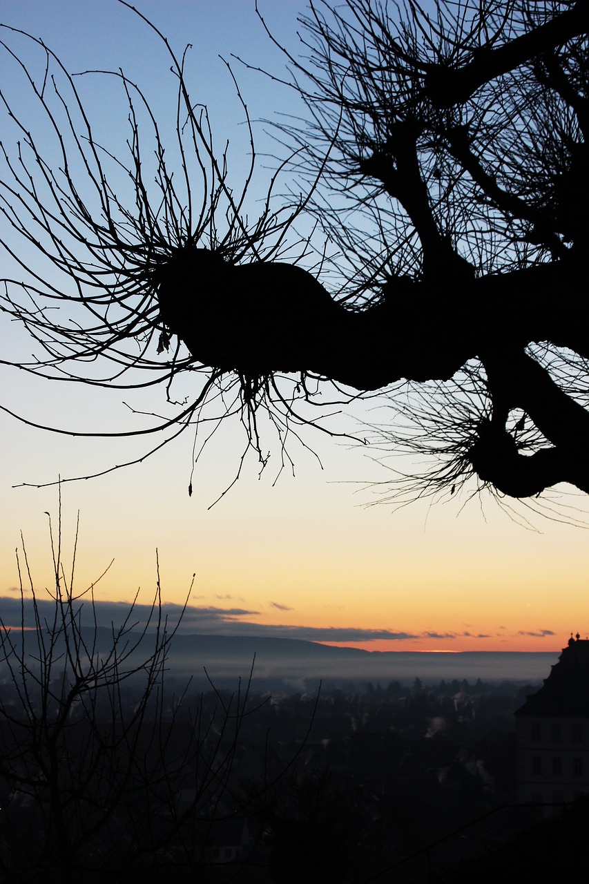 bamberg sunrise morgenstimmung free photo