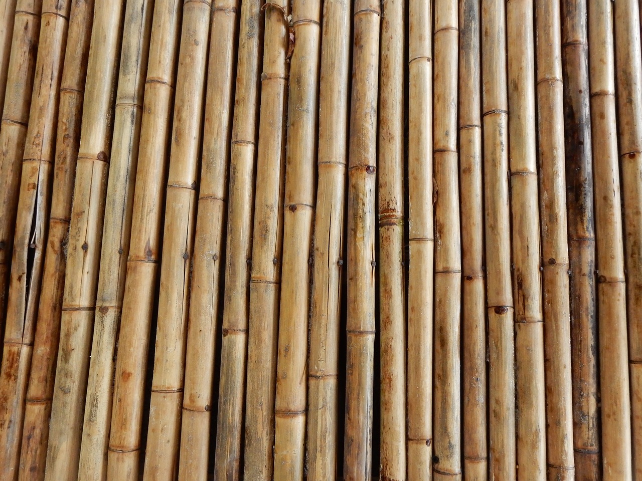 bamboo structure texture free photo