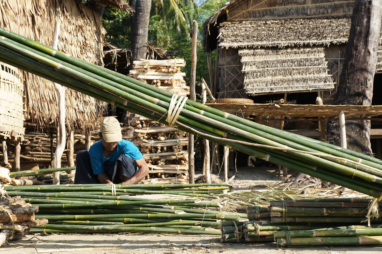 bamboo factory bamboo cutters free photo