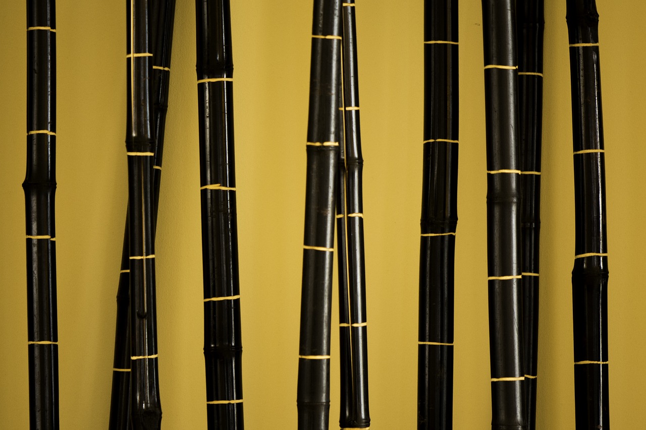 bamboo background asian free photo