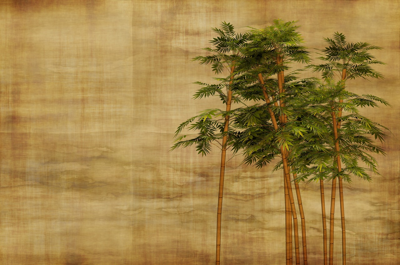 bamboo stationery wallpaper free photo