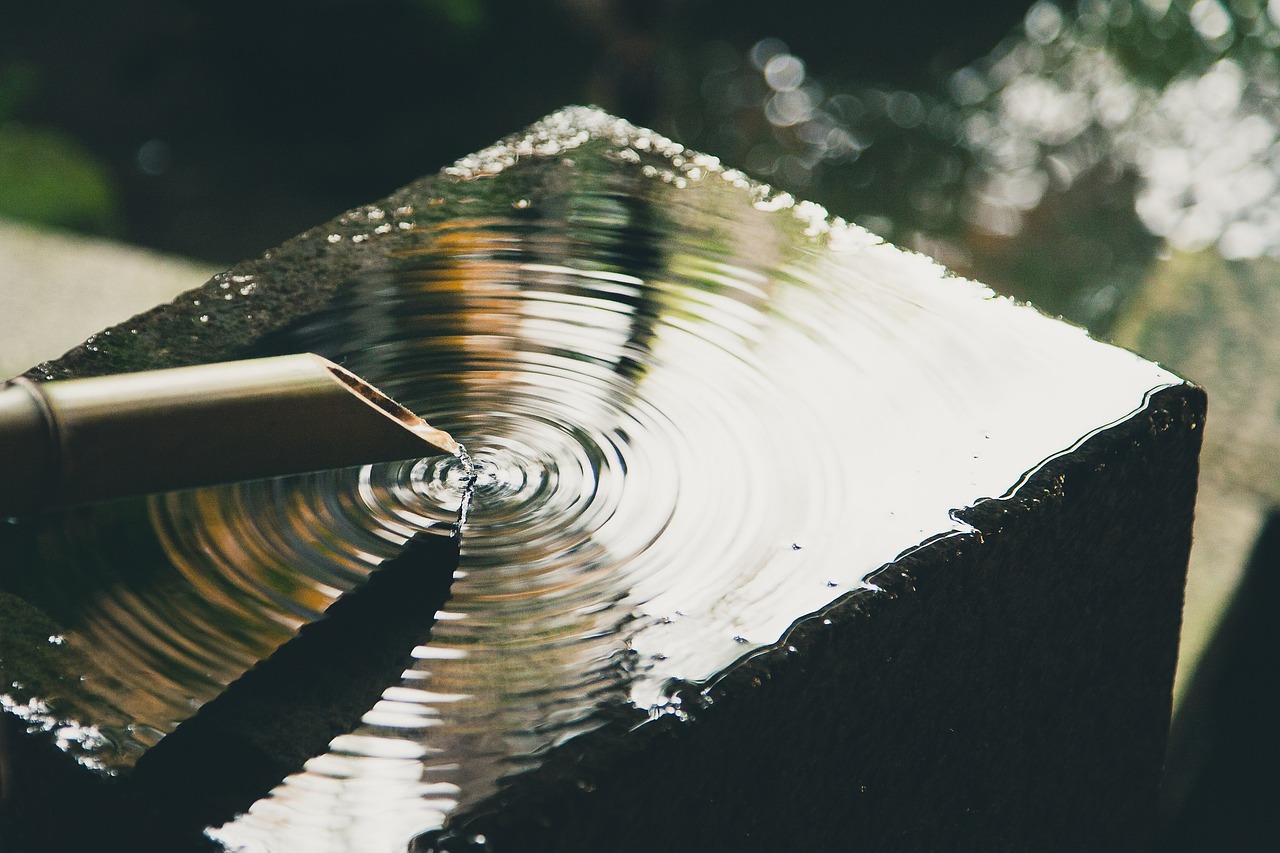 bamboo water liquid free photo