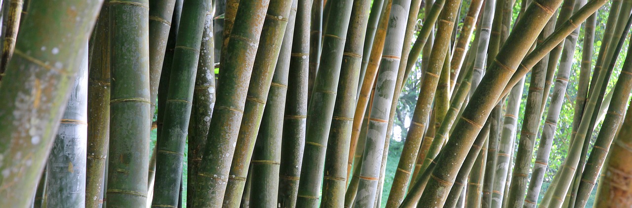 bamboo hatch stripes free photo