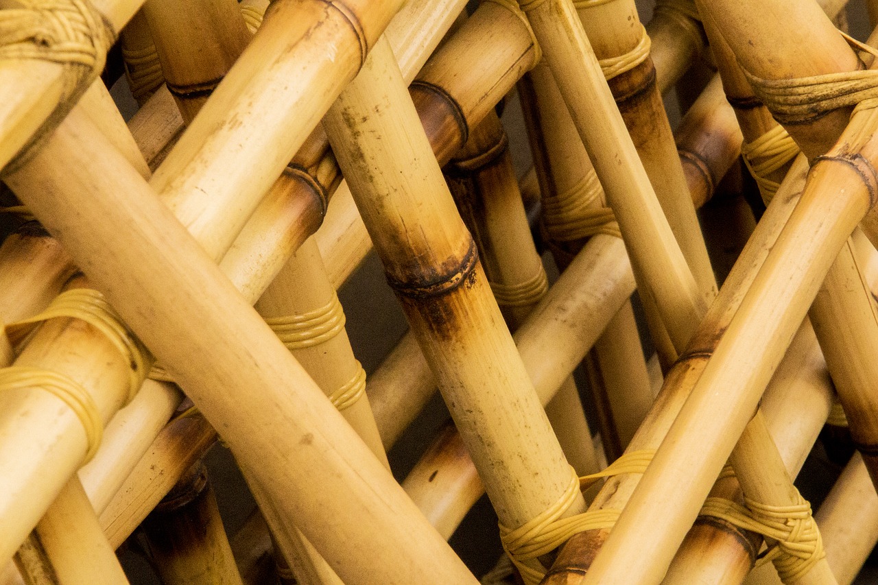 bamboo  arrangement of bamboo  wood free photo