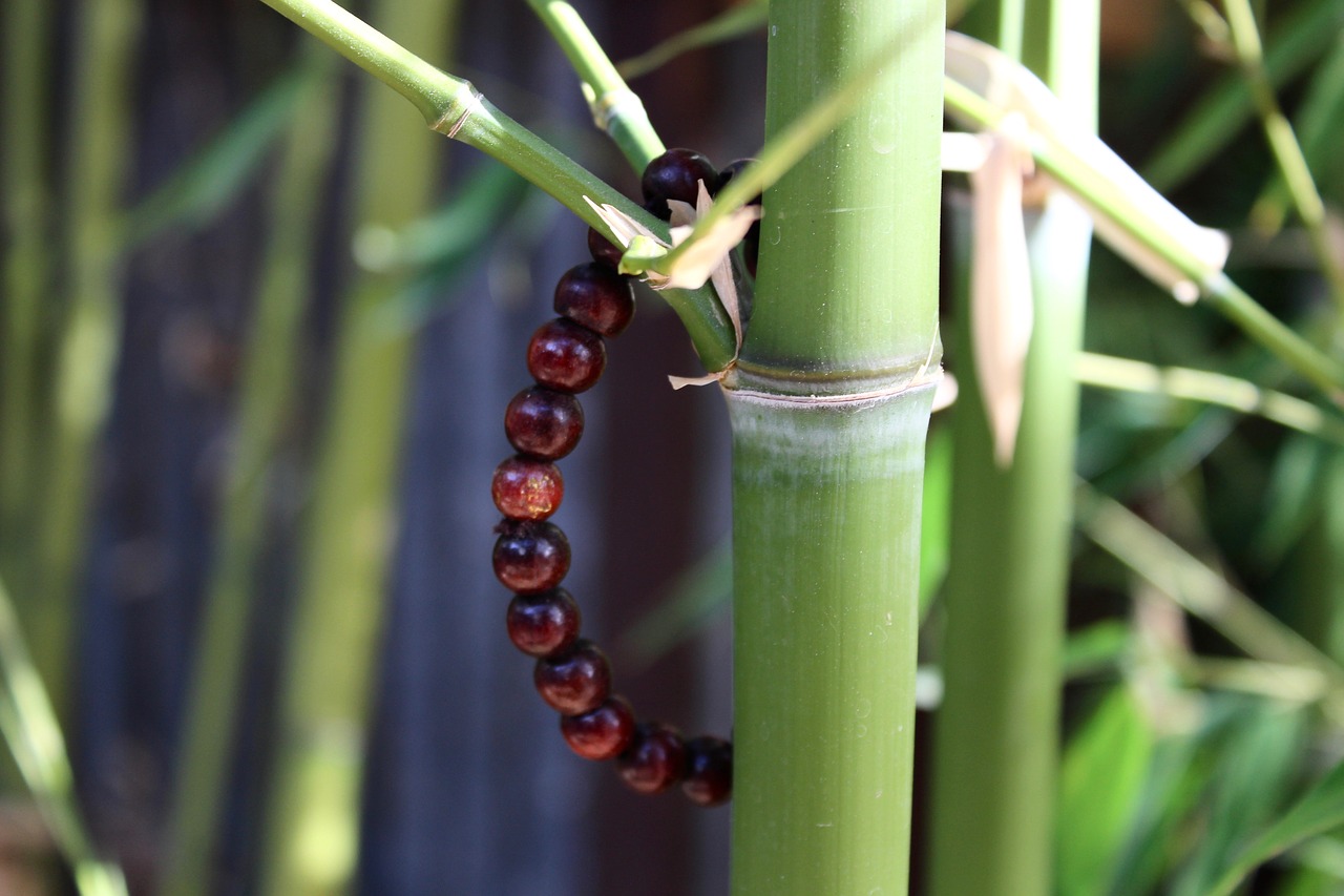 bamboo  mala  meditation free photo