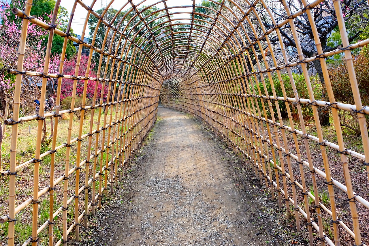 bamboo  arch  flowers free photo