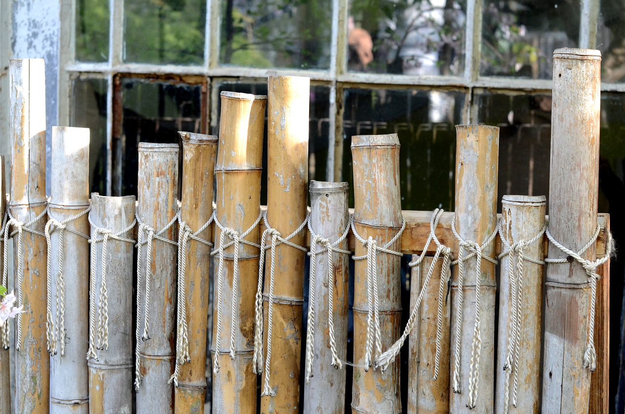 bamboo  fence  row free photo