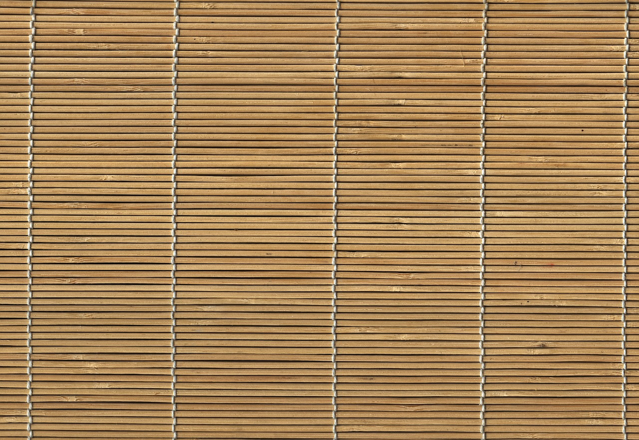 bamboo pattern structure free photo
