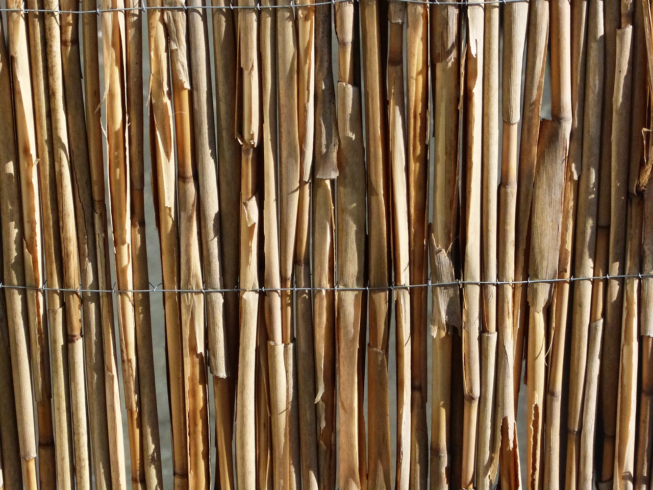 bamboo texture pattern free photo