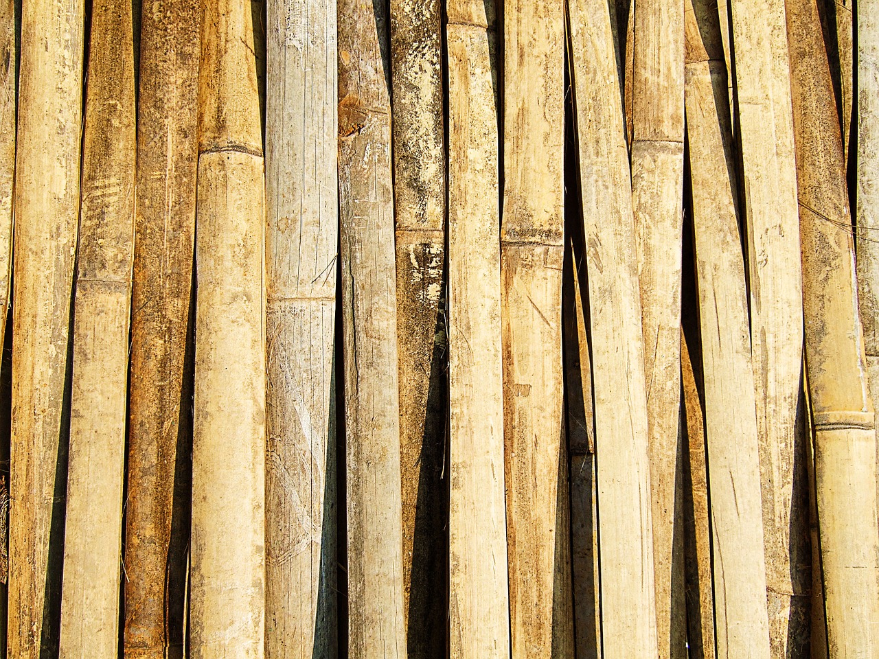 bamboo texture thailand free photo
