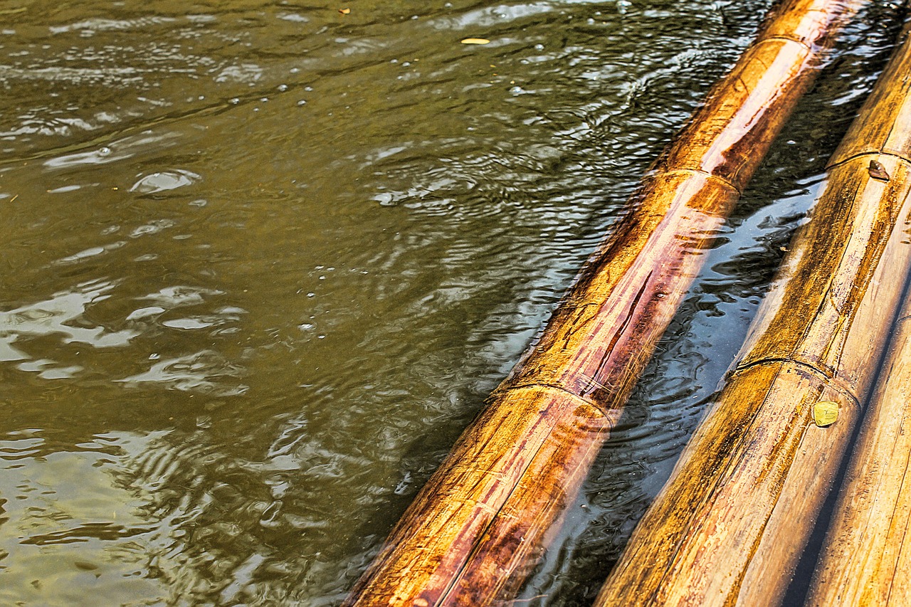 bamboo raft water free photo