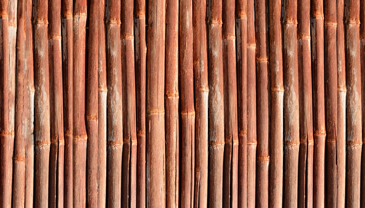 bamboo wood garden free photo