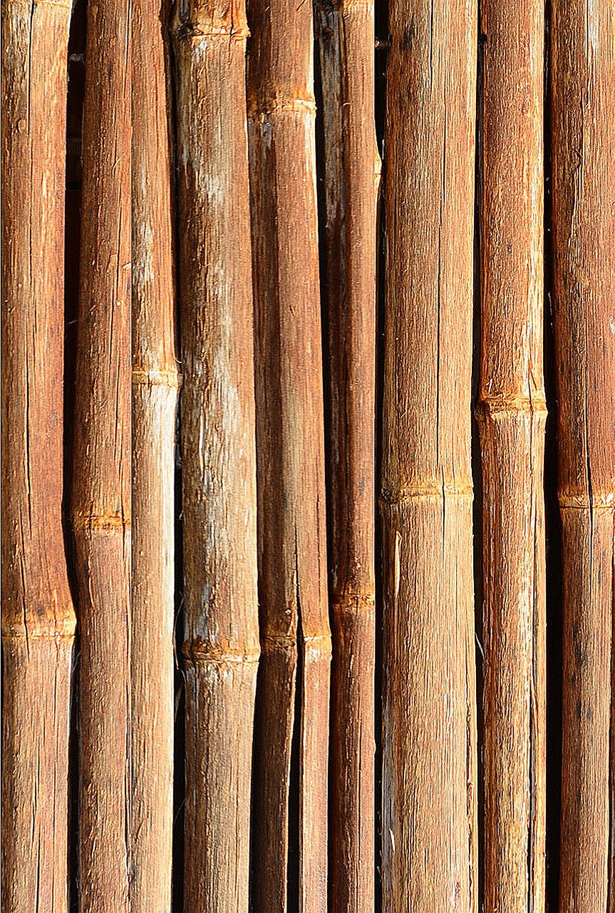 bamboo wood pattern free photo