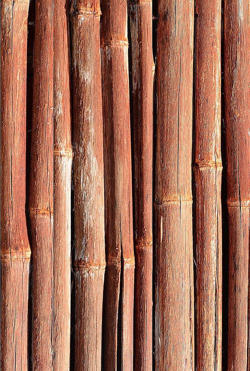 bamboo wood pattern free photo