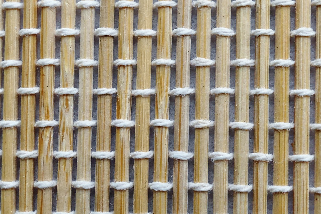 bamboo texture pattern free photo