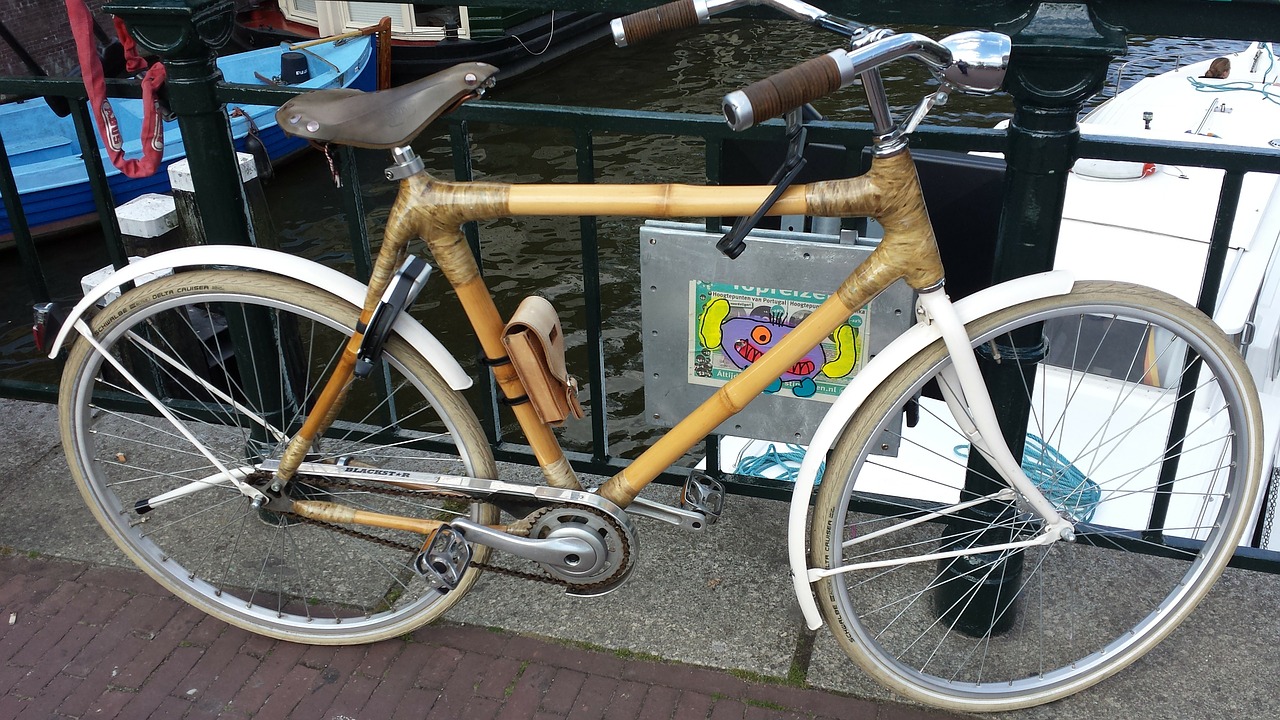 bamboo bike bike bamboo free photo