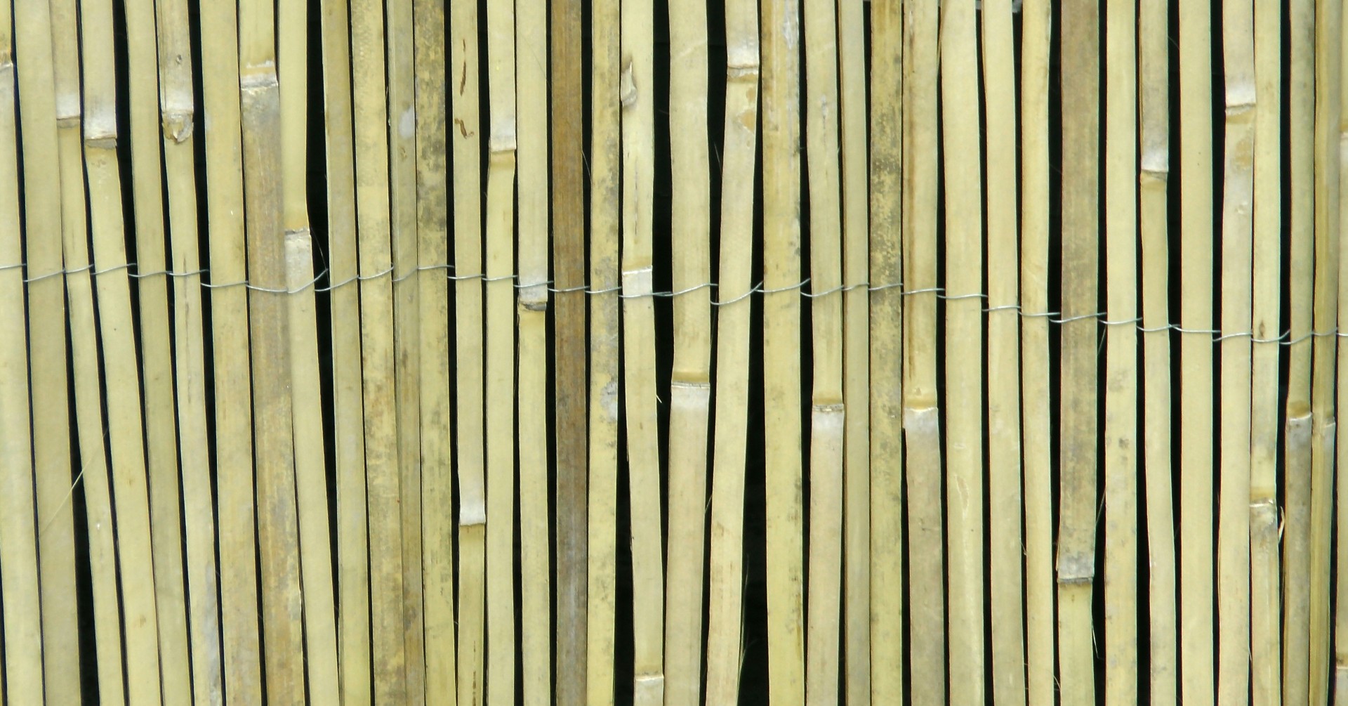 background bamboo cane background bamboo free photo