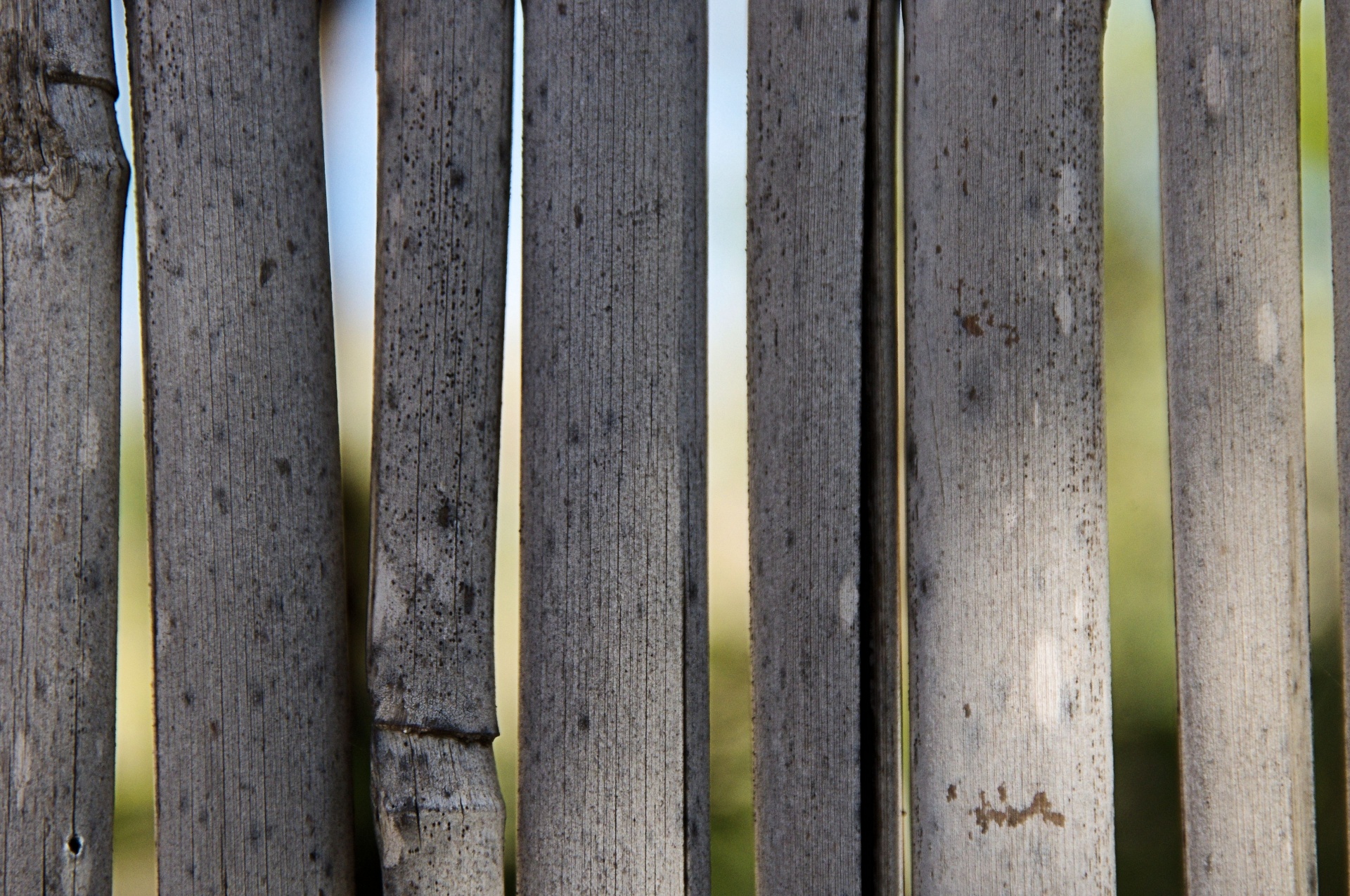 bamboo fence background free photo