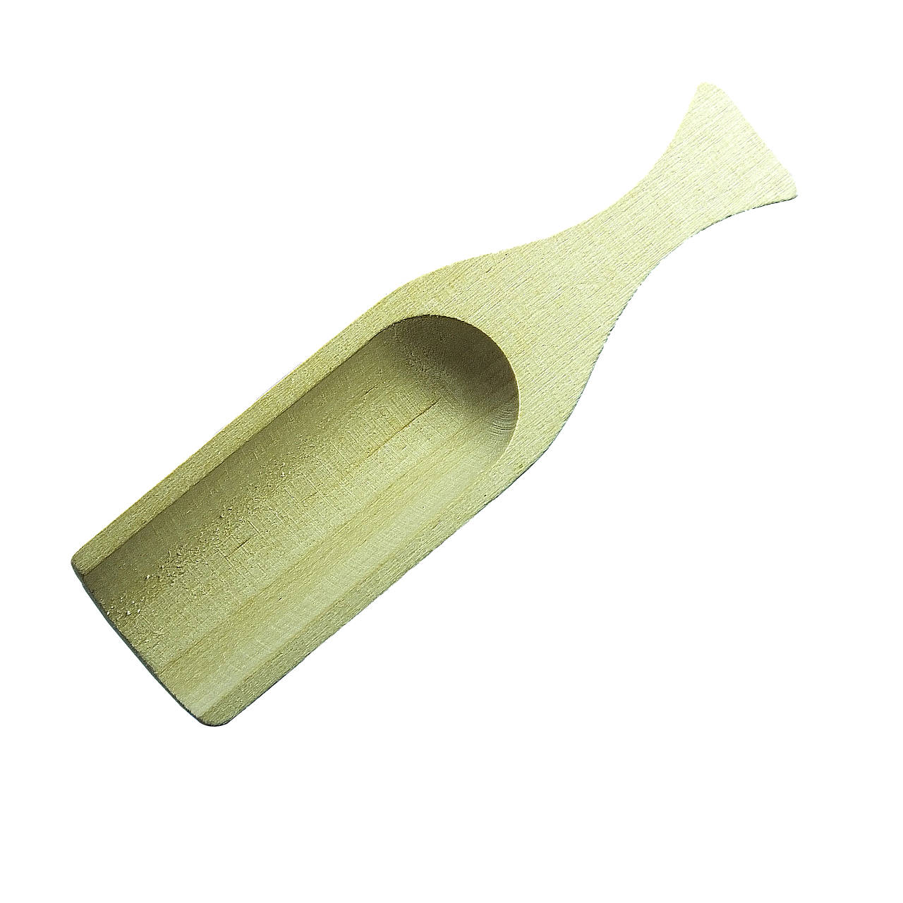 bamboo scoop scoop bamboo free photo