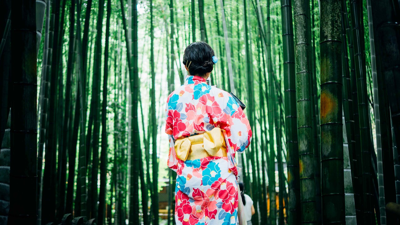 bamboo trees girl kimono free photo