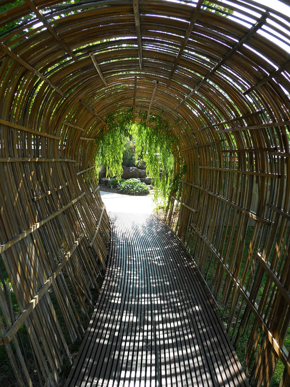 bamboo tunnel walkway arch free photo