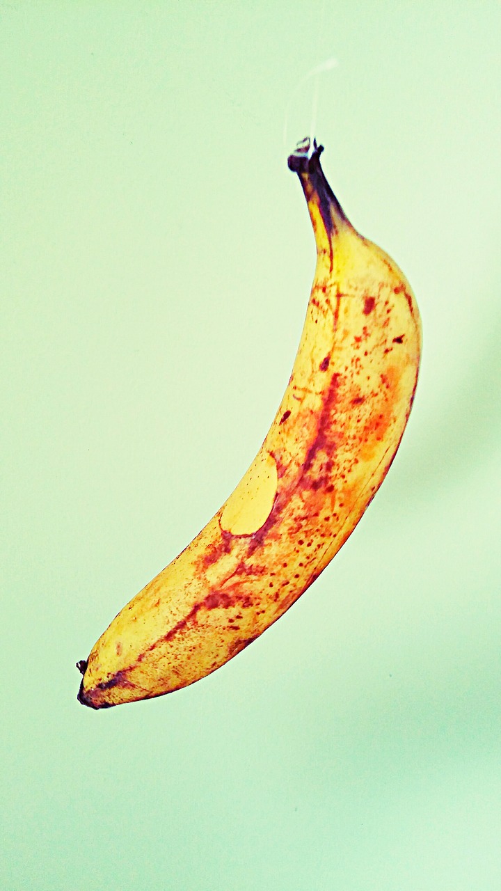 banana food art free photo