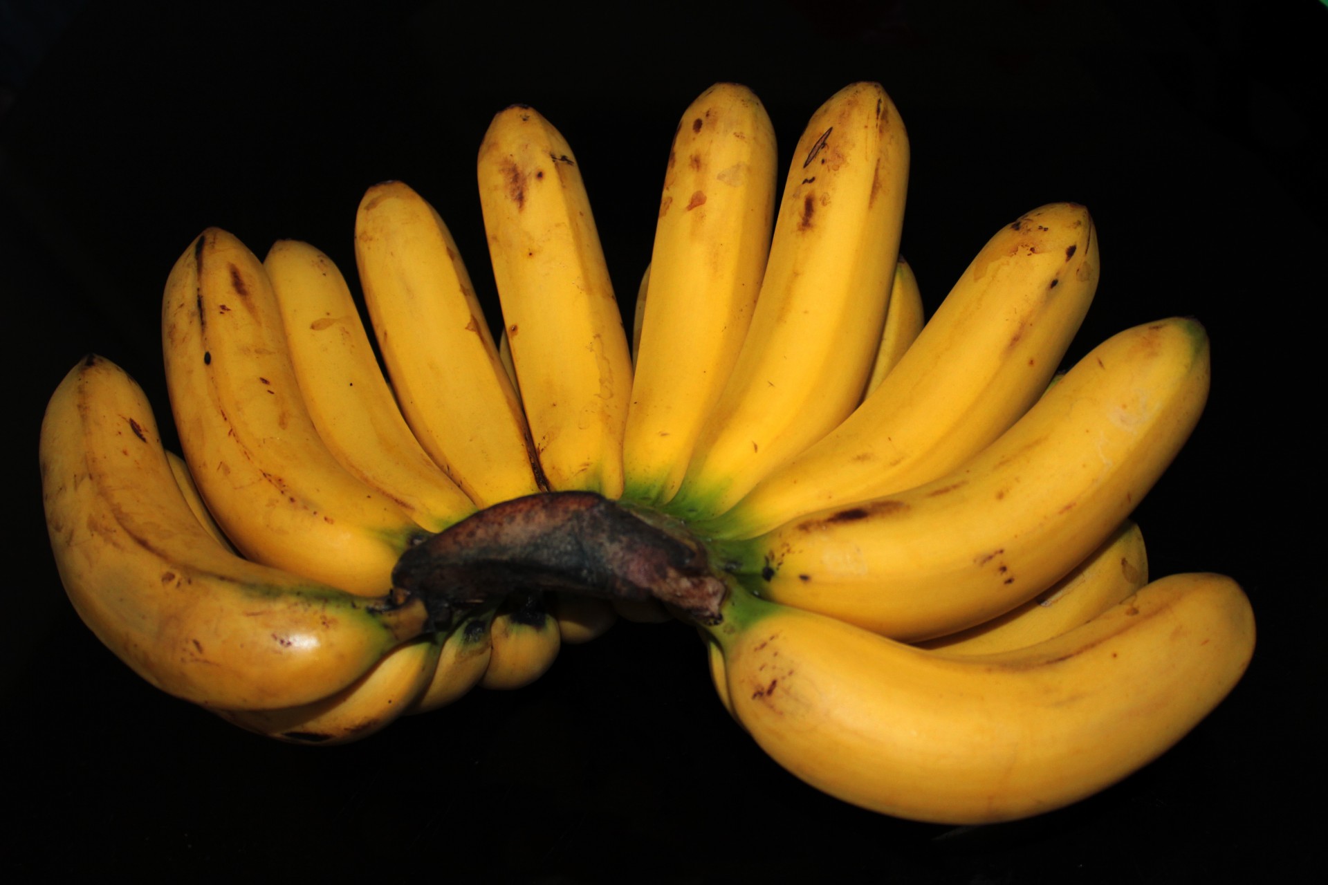 banana fruit yellow banana free photo