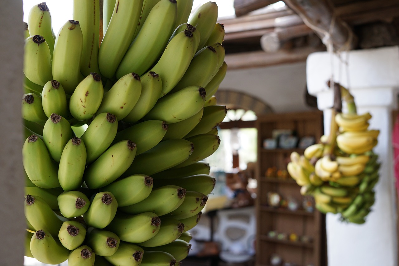 banana fruit grow free photo